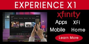 Experience X1
