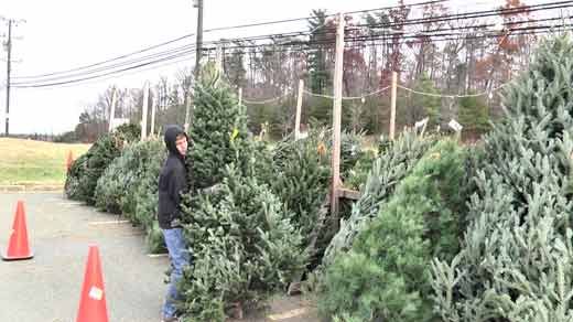 WVIR NBC29 Charlottesville News, Sports, and Weather