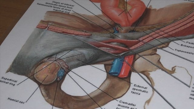 Sentara Martha Jefferson Monday: Groin Hernias