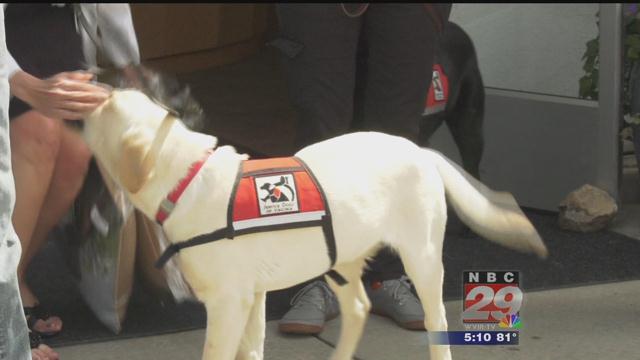 Signature Medical Spa Donates $10K to Service Dogs of Virginia