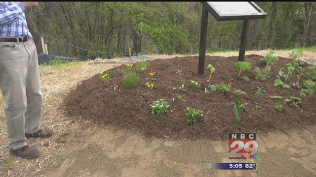 New Sign in McIntire Park Honors 1930s WPA Bird & Wildflower Sanctuary