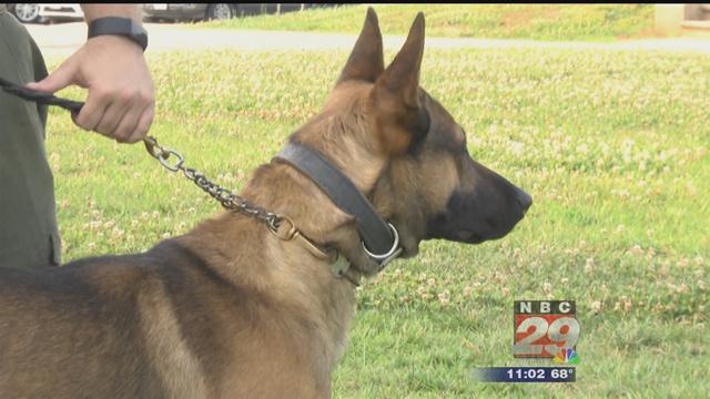 Charlottesville Police Welcome 2 K-9s to the Department