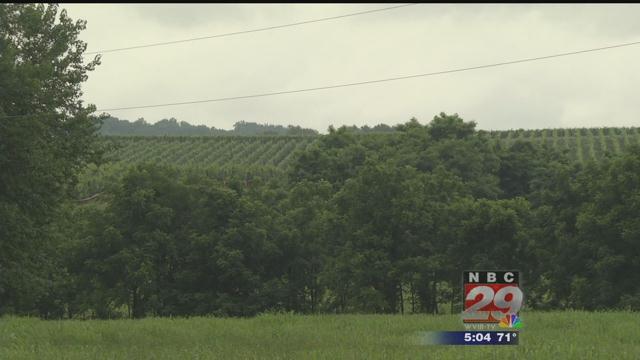 Fundraiser Seeks to Create 'Bandera Monumental' Near Trump Winery