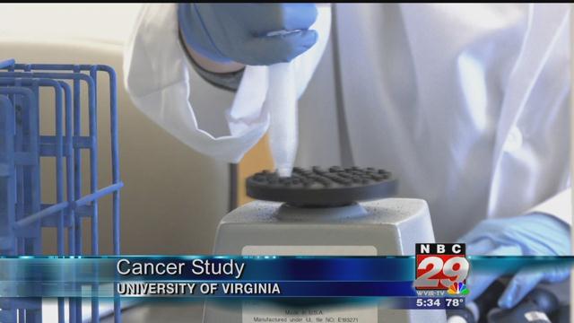 UVA Study Finds Unhealthy Gut Promotes Spread of Breast Cancer