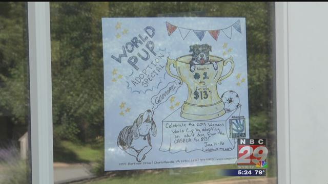 CASPCA Holding ‘World Pup’ Adoption Special for Adult Dogs