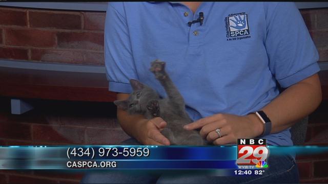 Isaiah: CASPCA's Featured Pet of the Week 06/19