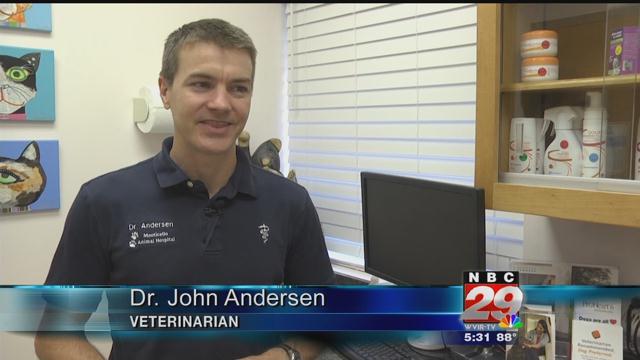 Veterinarians Warn of Dangers to Dogs from Algae Blooms