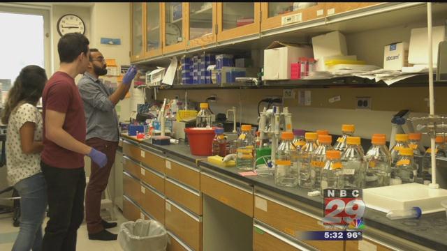 New Program Brings Graduate Students from Brazil to UVA
