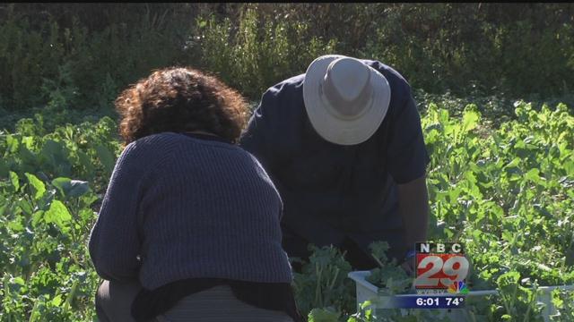 Community Garden Facing Demolition Receives Federal Help to Find a New Home