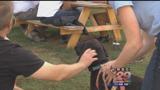 Decipher Brewing Hosts Adoption Event to Help Dogs from CASPCA