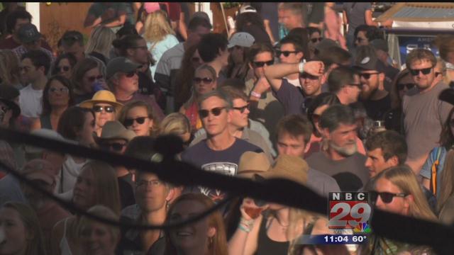 Annual Festy Music Festival Takes Over IX Art Park