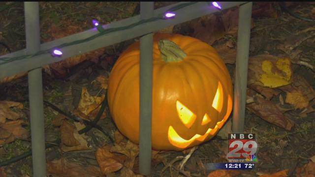 Halloween Lights Display in Fluvanna Co. Raises Money for Area Animal Shelters