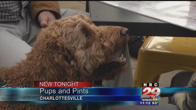 Three Notch'd Releases 'Tommie's Beer,' to Help Fight Animal Abuse