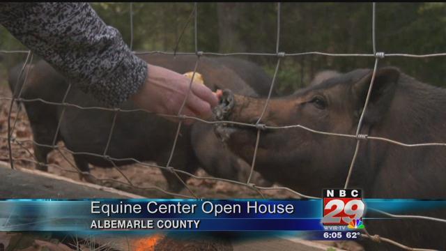 Equine Center Open House Showcases Rescue Animals & Therapy Services